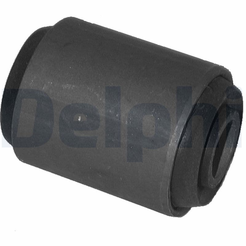 DELPHI Uloženie riadenia TD319W 1