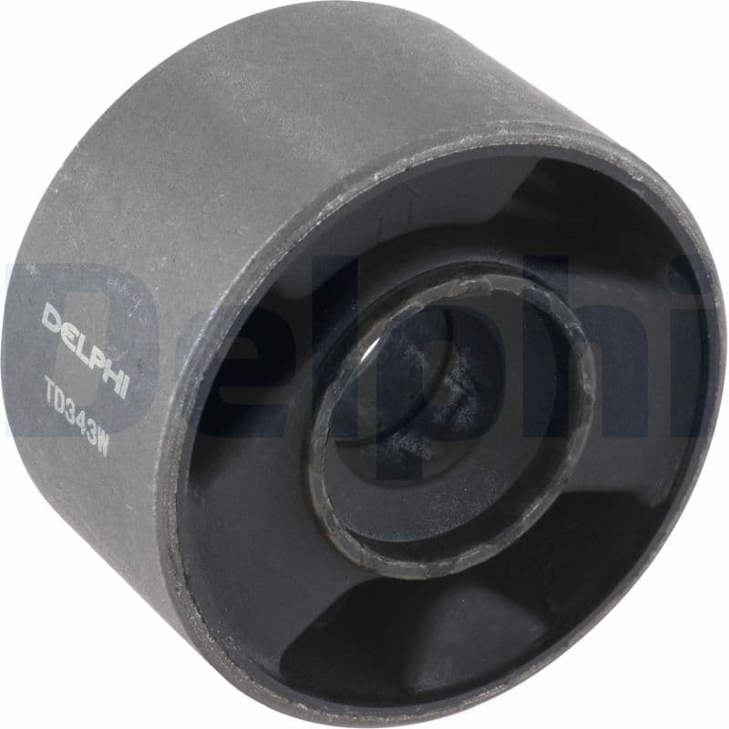 DELPHI Uloženie riadenia TD343W 1
