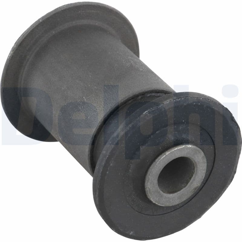 DELPHI Uloženie riadenia TD348W 1