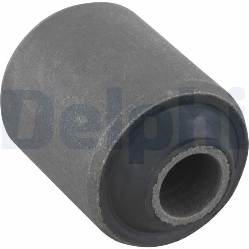 DELPHI Uloženie riadenia TD401W 1