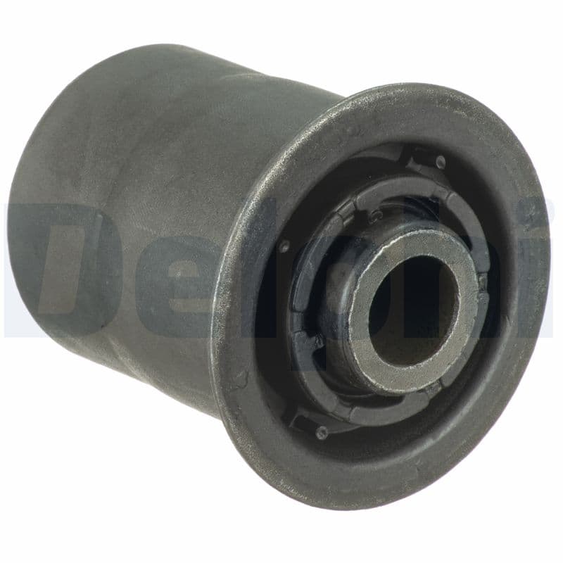 DELPHI Uloženie riadenia TD4042W 1