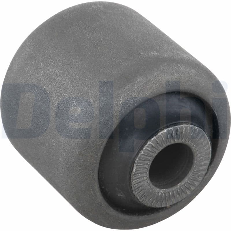 DELPHI Uloženie riadenia TD483W 1