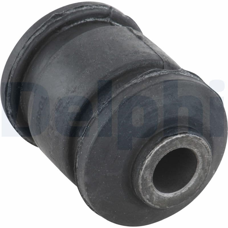 DELPHI Uloženie riadenia TD499W 1
