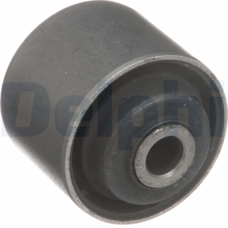 DELPHI Uloženie riadenia TD5569W 1