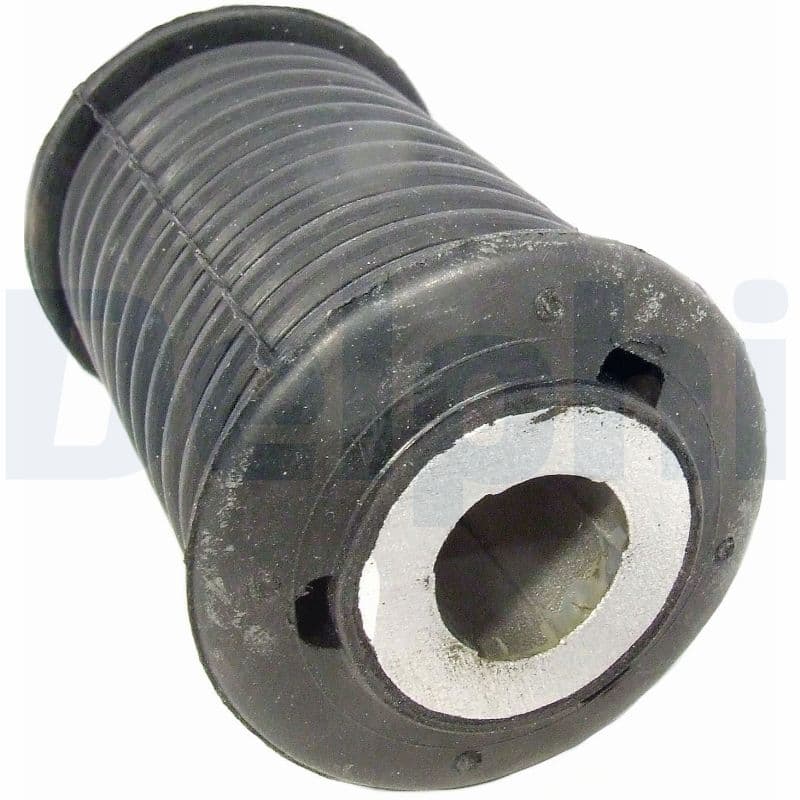 DELPHI Uloženie listovej pružiny TD859W 1