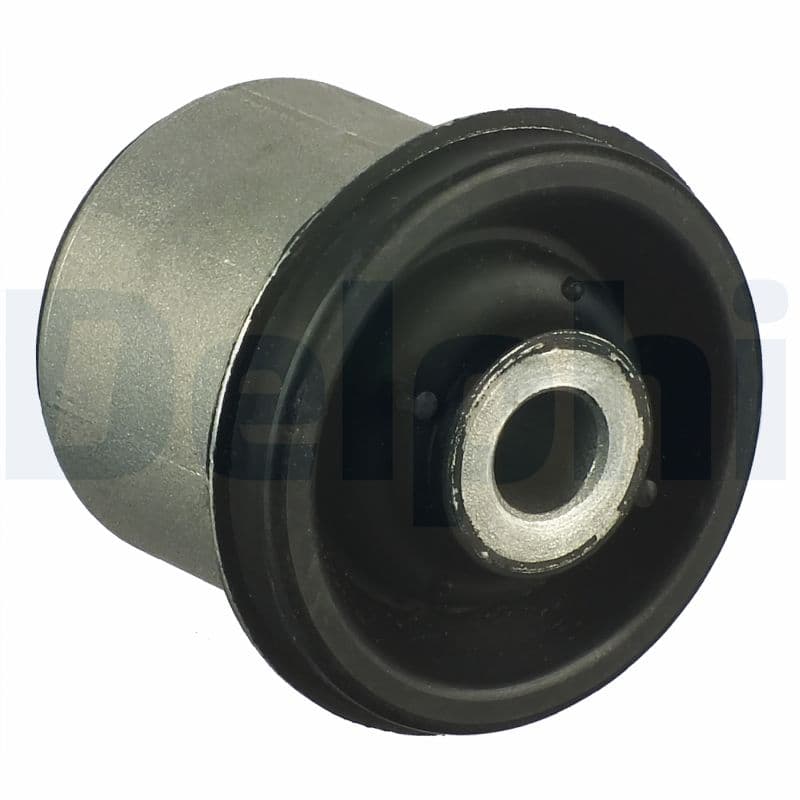 DELPHI Uloženie riadenia TD929W 1