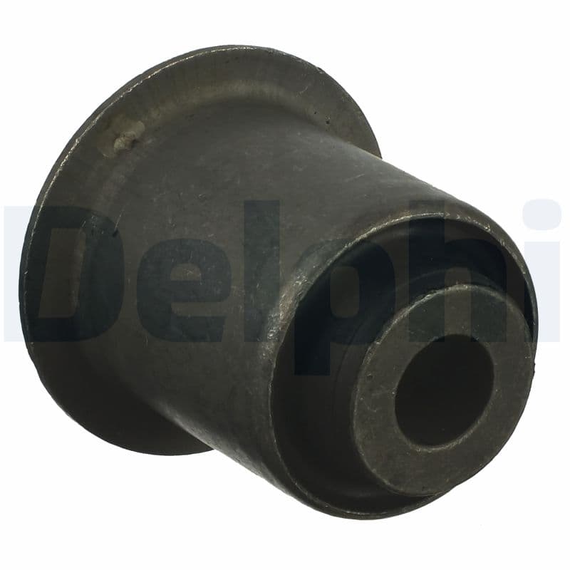 DELPHI Uloženie riadenia TD989W 1