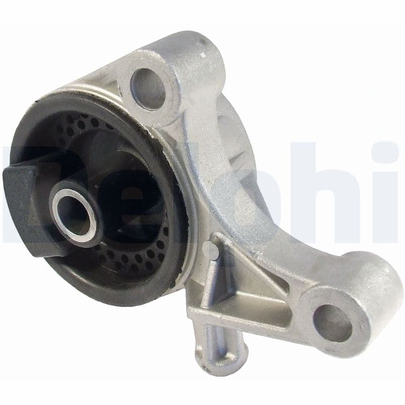DELPHI Uloženie motora TEM006 1