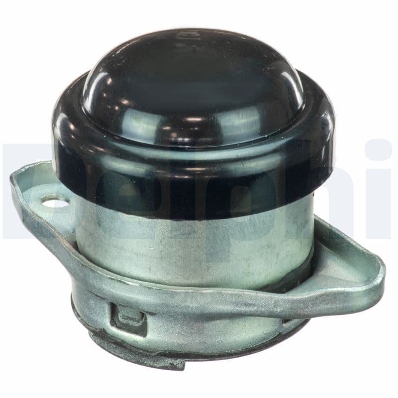 DELPHI Uloženie motora TEM077 1