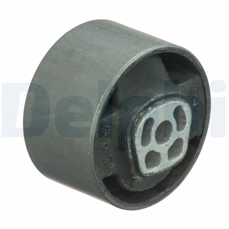DELPHI Uloženie motora TEM089 1