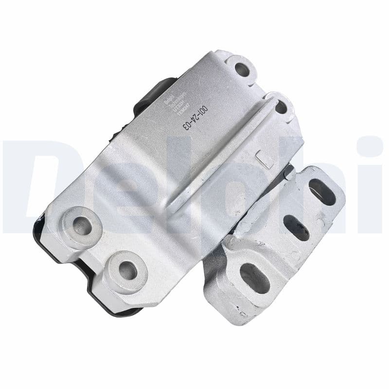 DELPHI Uloženie motora TEM247 1