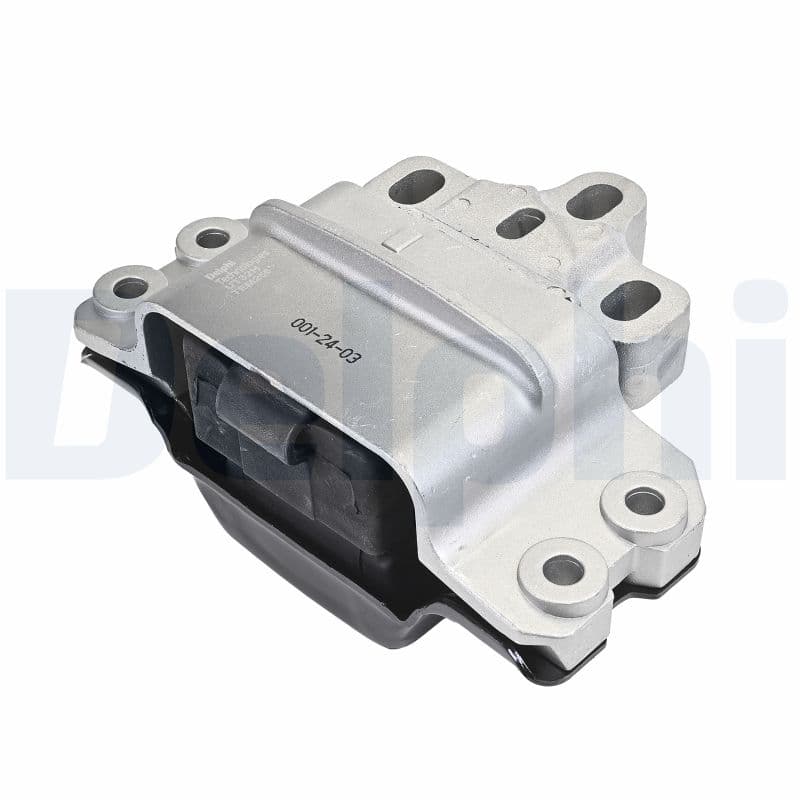 DELPHI Uloženie motora TEM256 1