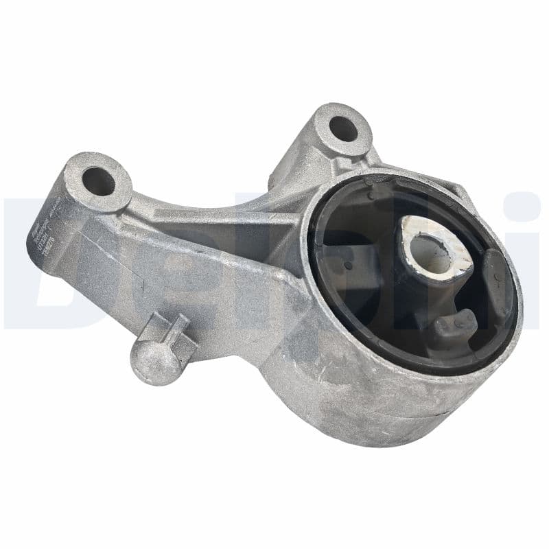 DELPHI Uloženie motora TEM276 1