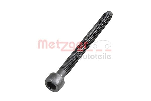 METZGER Skrutka, držiak vstrekovacej trysky 0873154 1