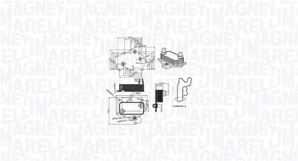 MAGNETI MARELLI Chladič motorového oleja 350300000400 1