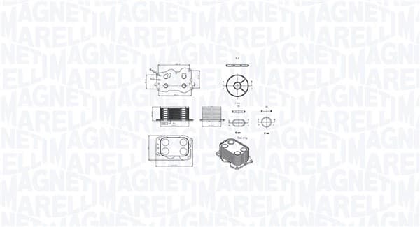 MAGNETI MARELLI Chladič motorového oleja 350300000900 1