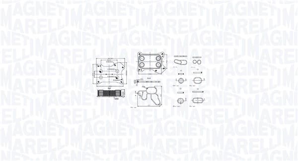 MAGNETI MARELLI Chladič motorového oleja 350300001300 1