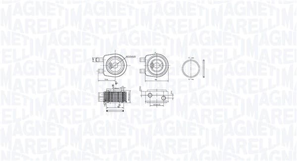 MAGNETI MARELLI Chladič motorového oleja 350300001900 1