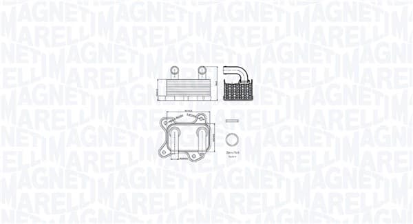 MAGNETI MARELLI Chladič motorového oleja 350300002000 1