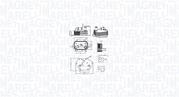MAGNETI MARELLI Chladič motorového oleja 350300002600 1
