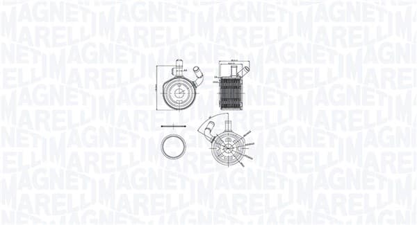 MAGNETI MARELLI Chladič motorového oleja 350300002900 1