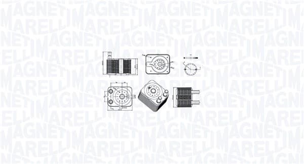 MAGNETI MARELLI Chladič motorového oleja 350300003100 1