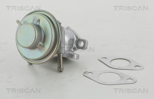 TRISCAN AGR - Ventil 881315029 1