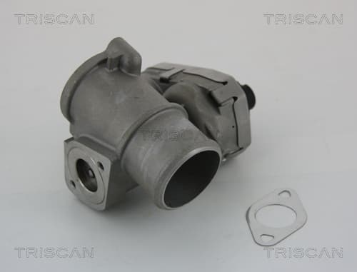 TRISCAN AGR - Ventil 881316101 1