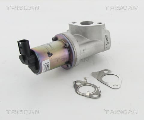 TRISCAN AGR - Ventil 881343021 1
