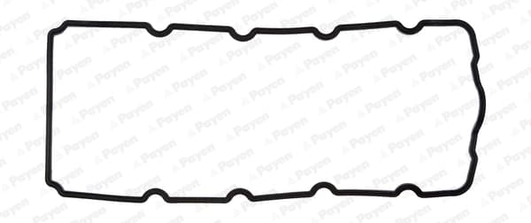 PAYEN Tesnenie veka hlavy valcov JM5119 1