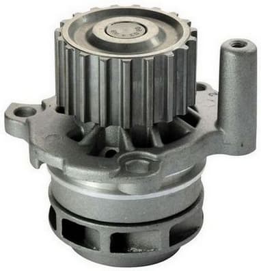 DENCKERMANN Vodné čerpadlo, chladenie motora A310609P 1