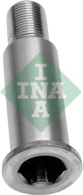 INA Ložiskový čap páky napínacej kladky 533006420 1