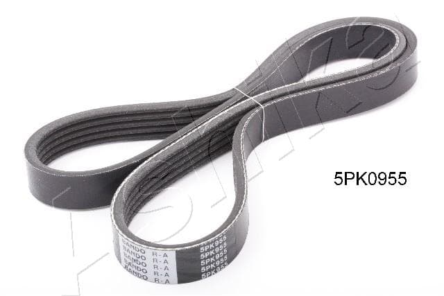 ASHIKA Ozubený klinový remeň 112-5PK955 1