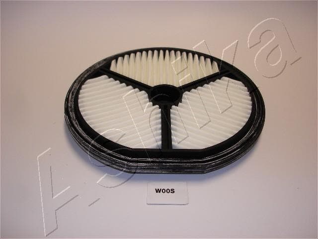 ASHIKA Vzduchový filter 20W0000 1