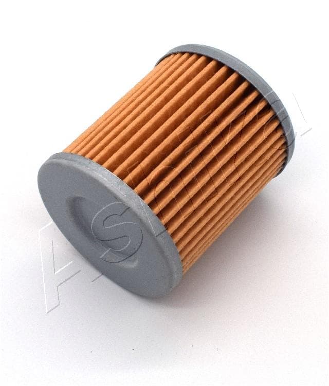 ASHIKA Hydraulický filter automatickej prevodovky FTA116 1