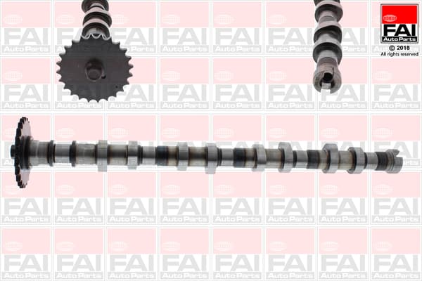 FAI AutoParts Vačkový hriadeľ C387 1
