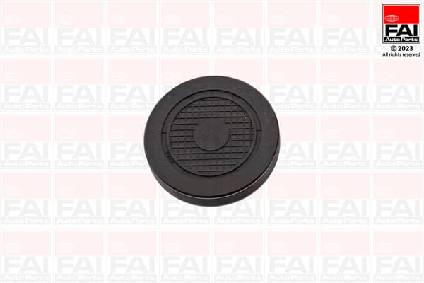 FAI AutoParts Záslepky Montážnych otvorovhriadeľa vahadla RMG880C 1