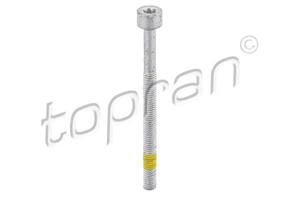 TOPRAN Skrutka 409573 1