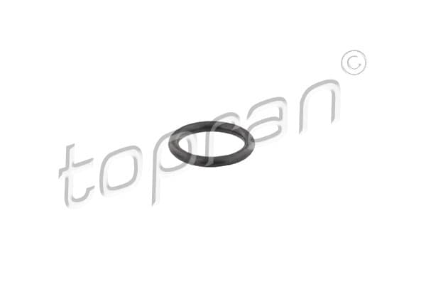 TOPRAN Tesnenie mierky oleja 118138 1