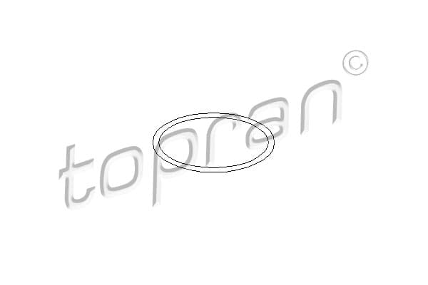 TOPRAN Tesnenie vodného čerpadla 100674 1