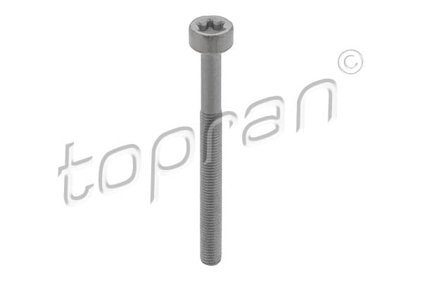 TOPRAN Skrutka, držiak vstrekovacej trysky 410 287 1