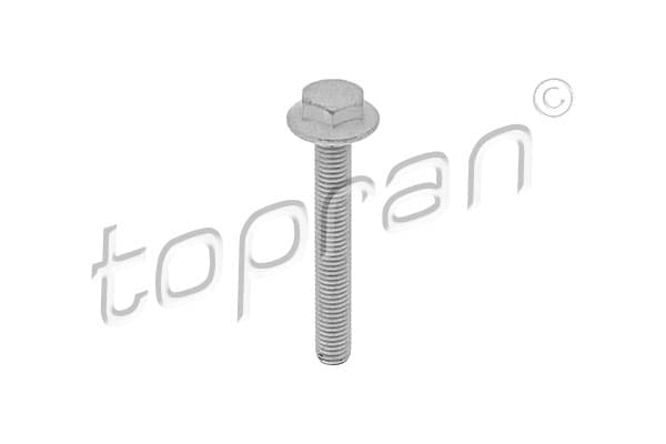 TOPRAN Skrutka 115 806 1