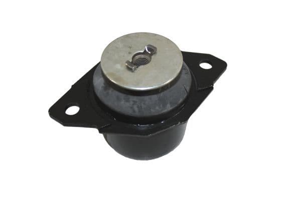 AUTOMEGA Uloženie motora 130030810 1
