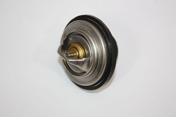 AUTOMEGA Termostat chladenia 160047810 1