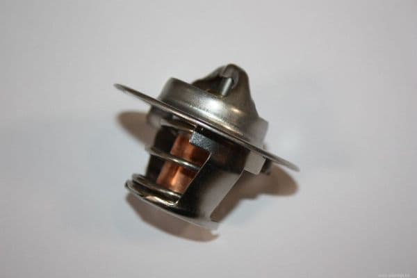 AUTOMEGA Termostat chladenia 160099810 1