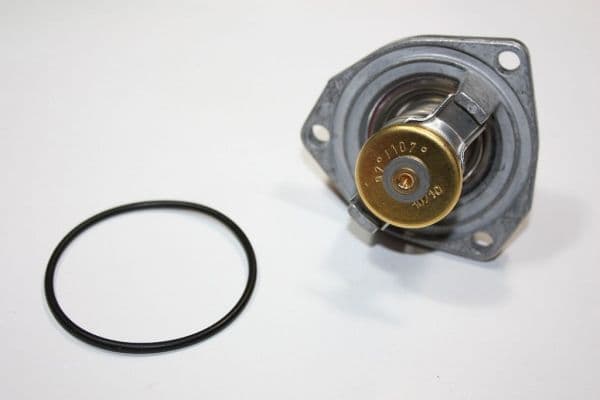 AUTOMEGA Termostat chladenia 160100010 1