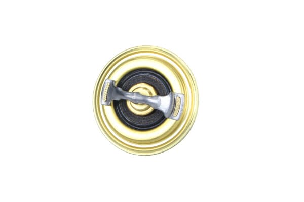 Termostat chladiacej kvapaliny OE VOLKSWAGEN AG 03L121113A 1