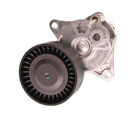 MAXGEAR Napinák rebrovaného klinového remeňa 540031 1