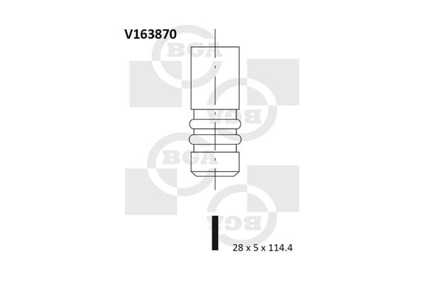 BGA Sací ventil V163870 1