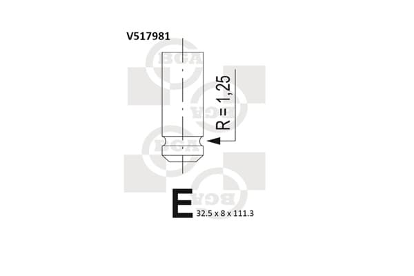 BGA Výpustný ventil V517981 1